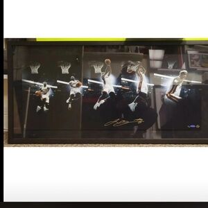 LeBron James, upper deck signed panoramic, dunk photograph